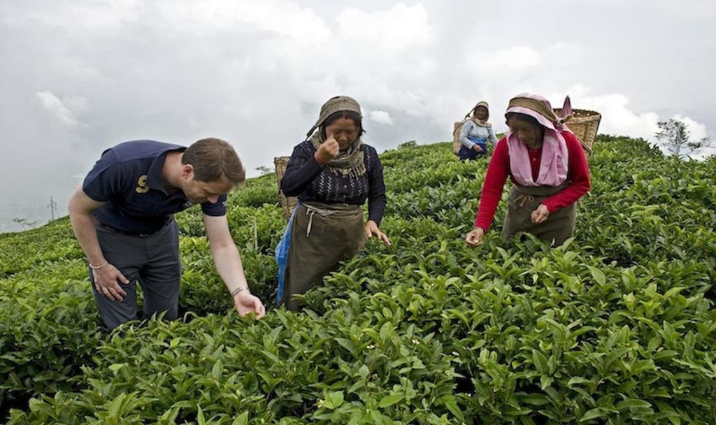 Singtom Tea Estate&Resort Darjeeling  Exterior foto